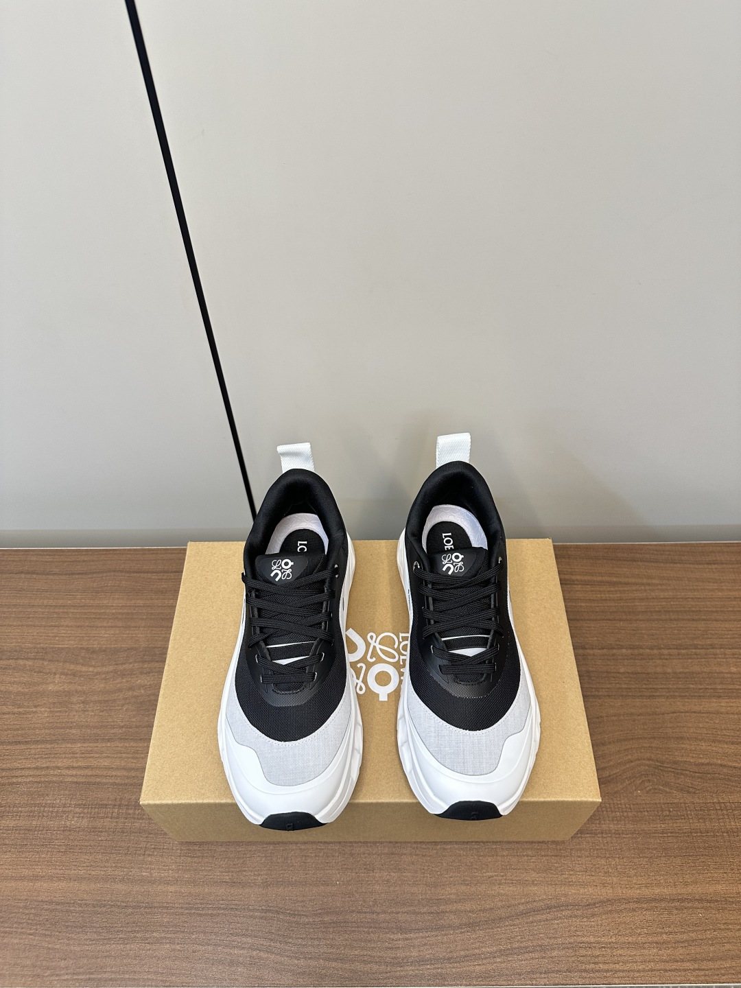 Loewe Mesh Panel Sneakers